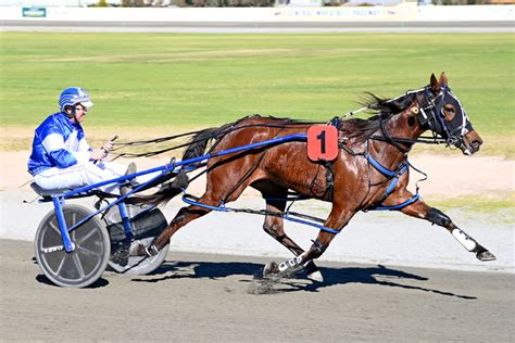 australian harness racing|Iba pa.